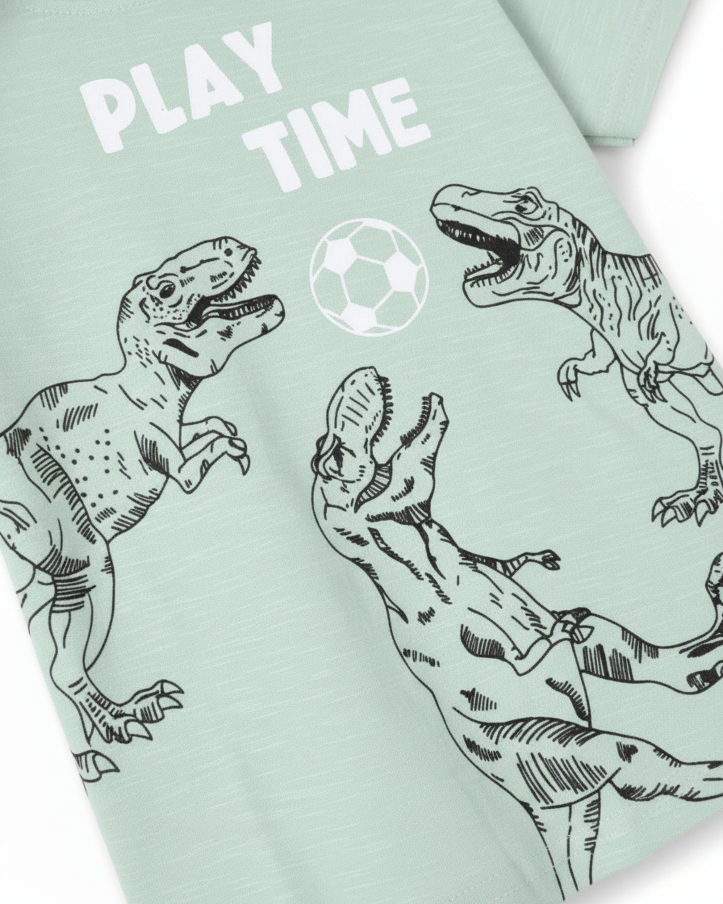 Dinosaur Print Premium Cotton T-Shirt for Boys