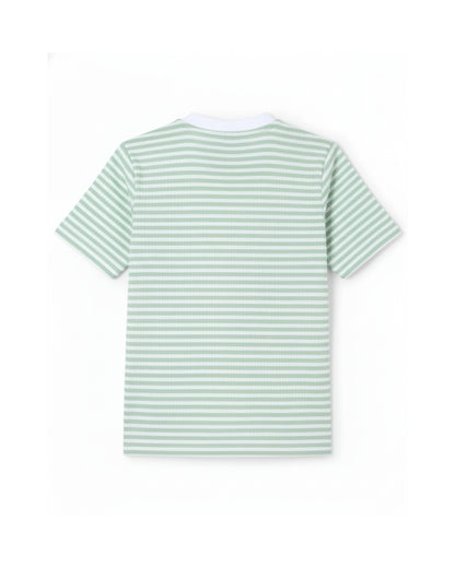 Cool Stripes Green & White Premium Cotton T-Shirt for Boys